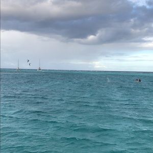 Meet your Posher, Jackson